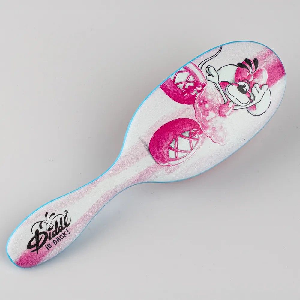 BROSSE A CHEVEUX DIDDLINA EN ROBE BALLERINA