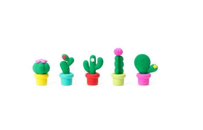 SET DE 5 GOMMES PARFUMEES CACTUS