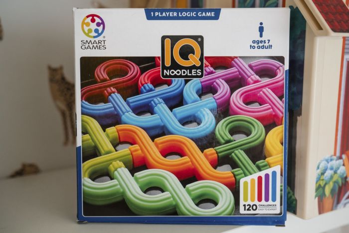 IQ NOODLES