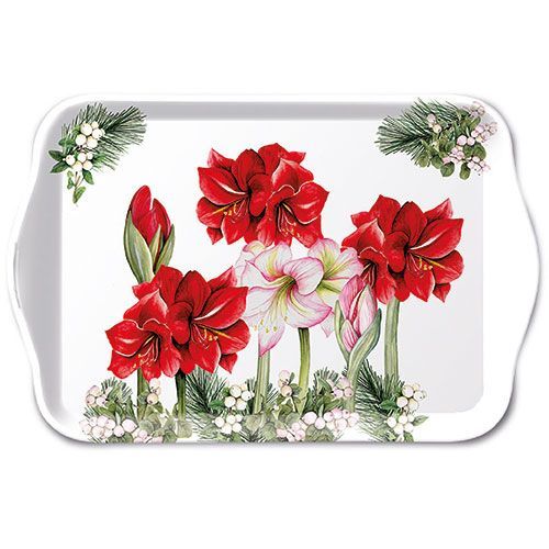 PLATEAU "BLOOMING AMARYLLIS"
