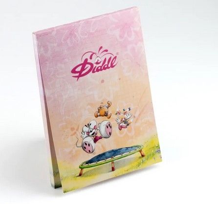 BLOC PARFUME A5 DIDDL ROSE