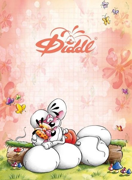 BLOC PARFUME A5 DIDDL ORANGE