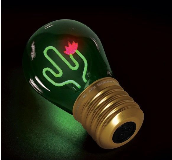 BULB FICTION LAMPE EN FORME D AMPOULE CACTUS